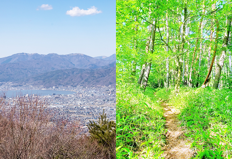 茅野市・原村の空き家・空き地の売却の実績も豊富